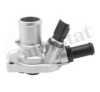 ITAL2 0055202371 Thermostat, coolant